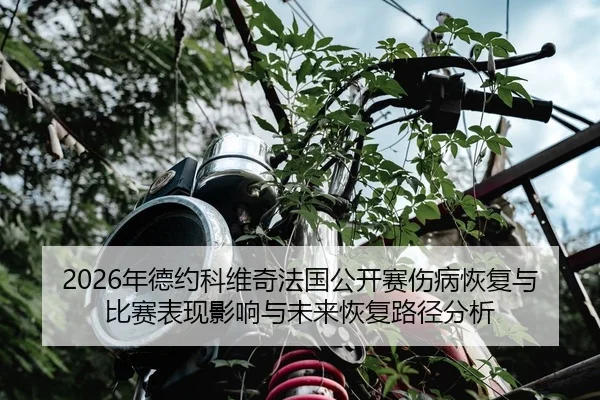 nian-de-yue-ke-wei-qi-fa-guo-gong-kai-sai-shang-bing-hui-fu-yu-bi-sai-biao-xian-ying-xiang-yu-wei-lai-hui-fu-lu-jing-2-750.jpg